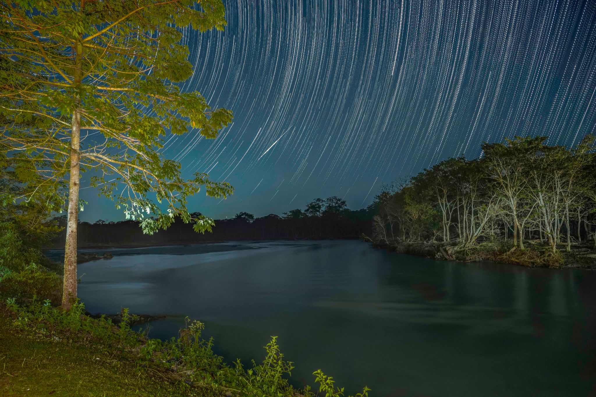 Community photo by Soumya Seal | Alipurduar, West Bengal, India