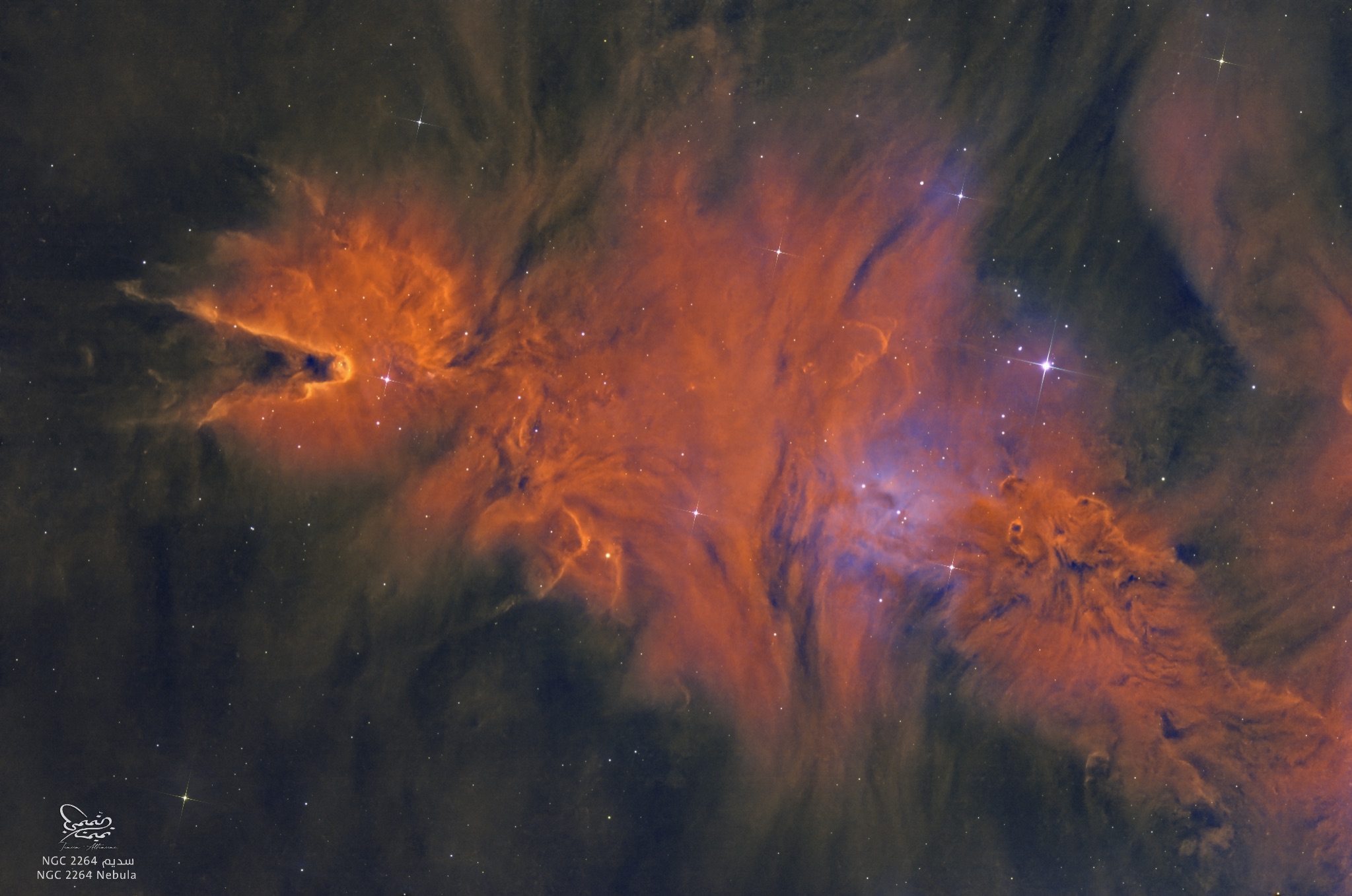 Community photo by Tameem