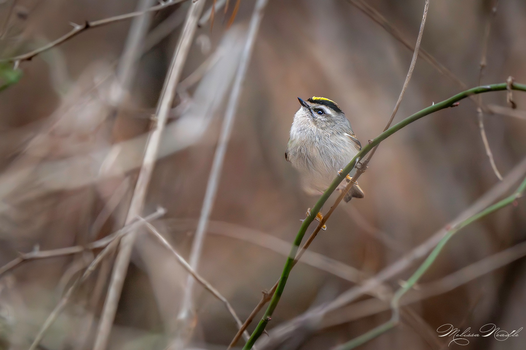 Community photo by Melissa