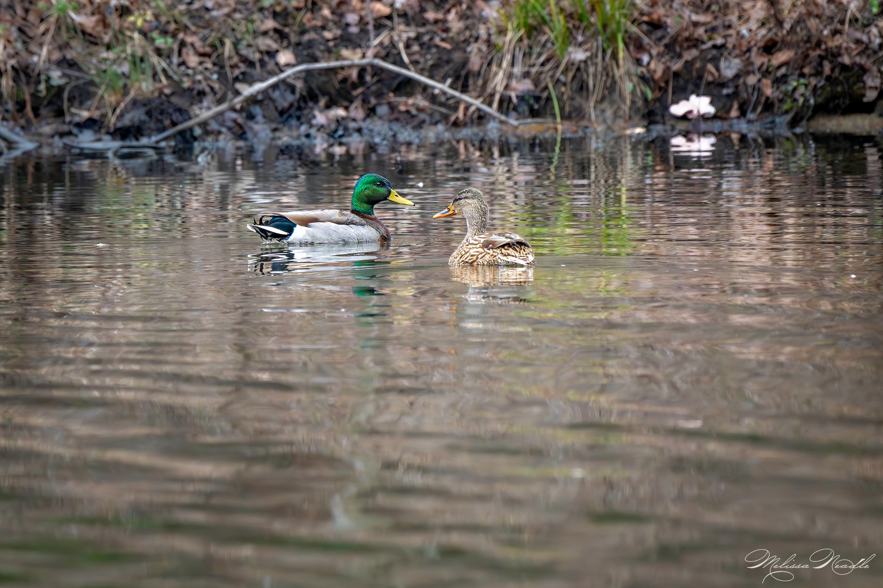 Community photo by Melissa