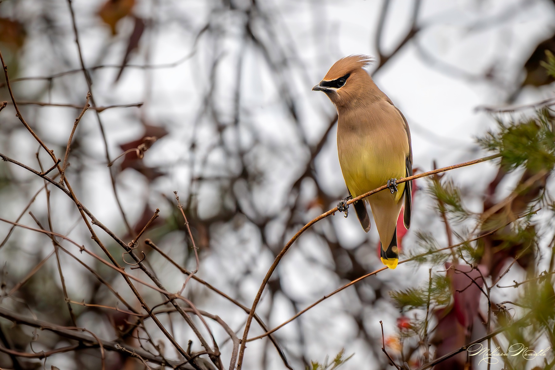 Community photo by Melissa