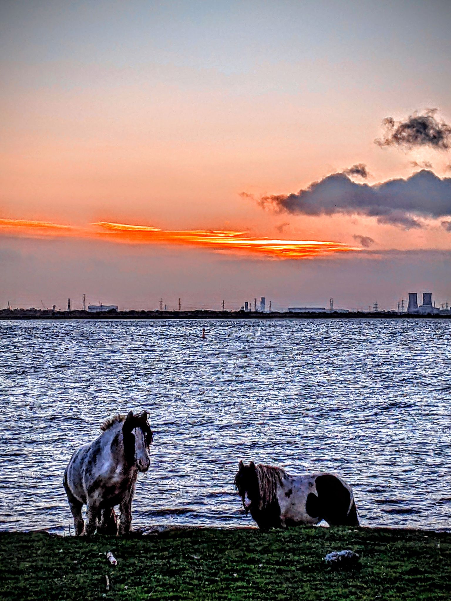 Community photo by Kevan Hubbard | Teesmouth Nature Reserve ,Co Durham ,England