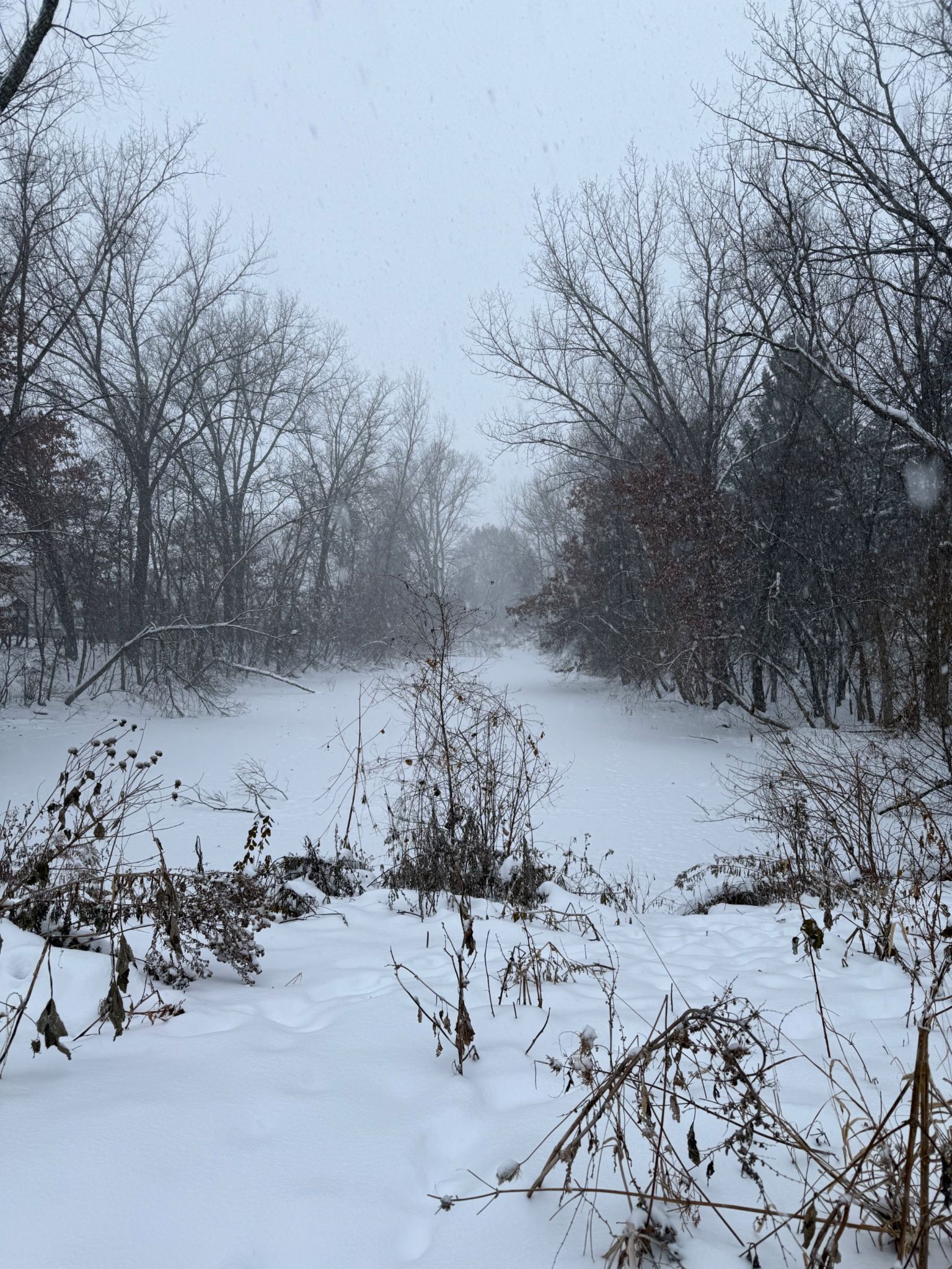 Community photo by Asha