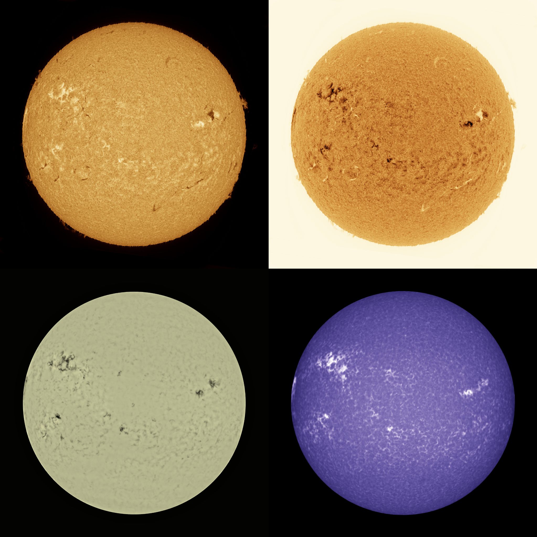 Community photo by Mario Rana | Hampton, Virginia