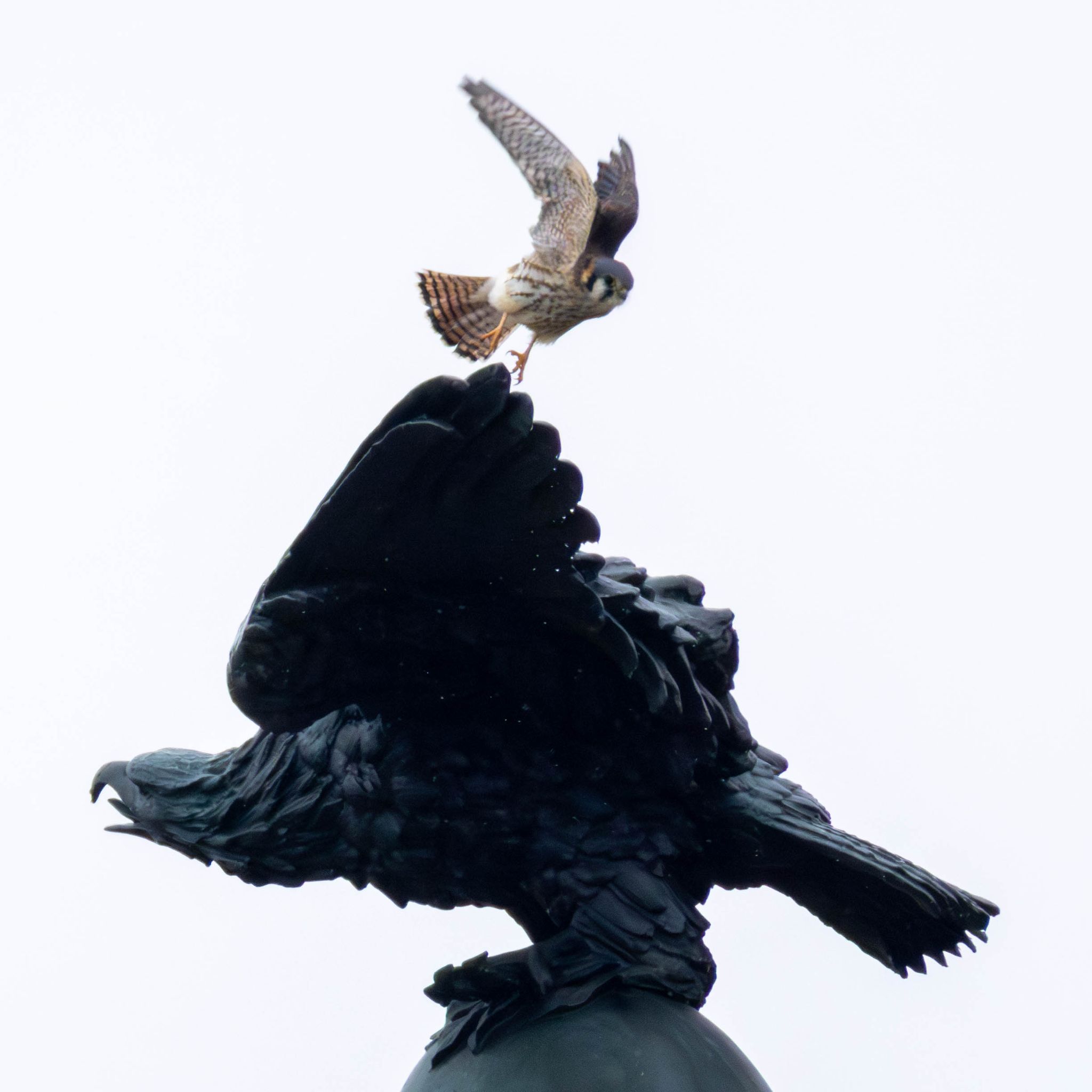 Community photo by Gaurav