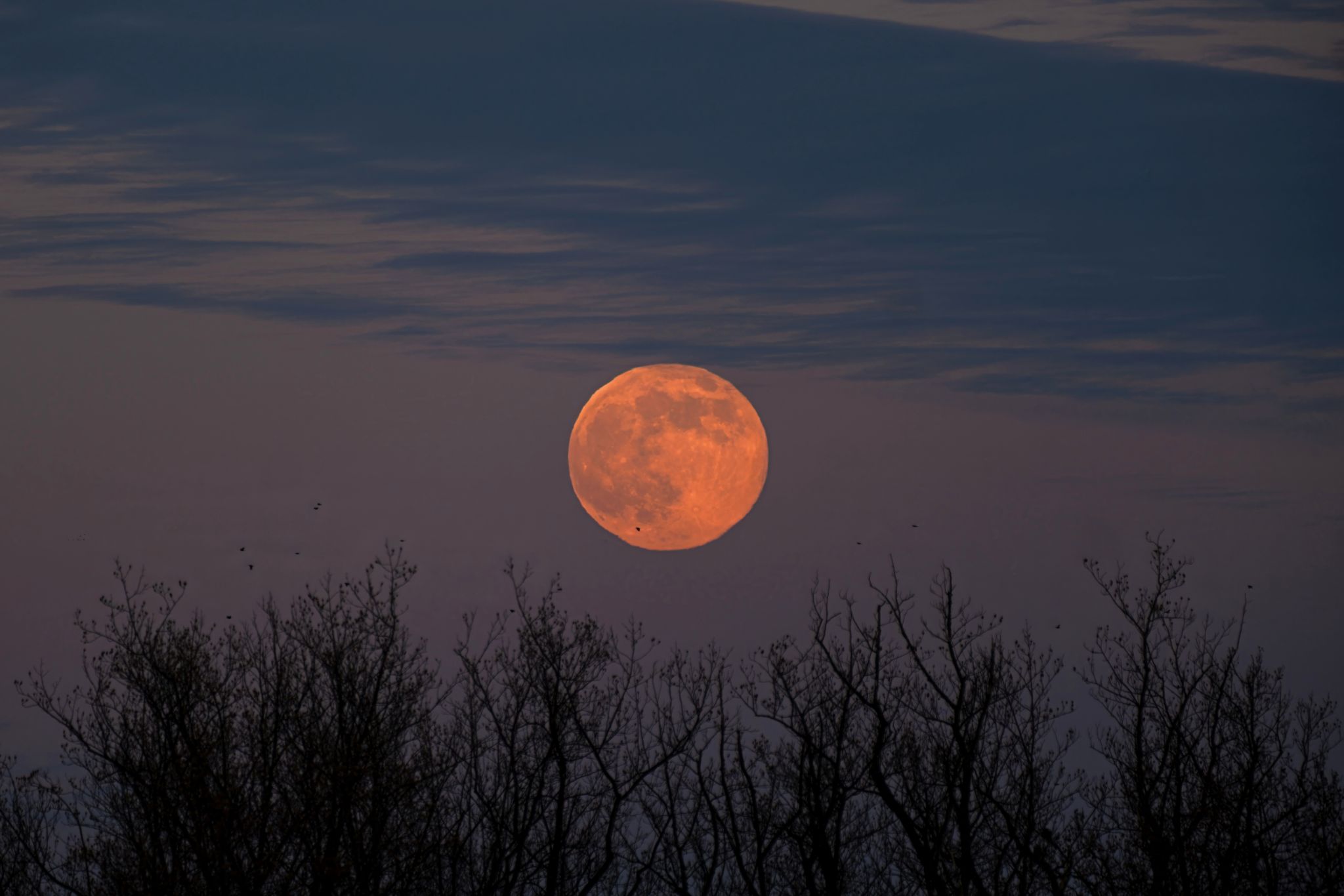 Community photo by Ross