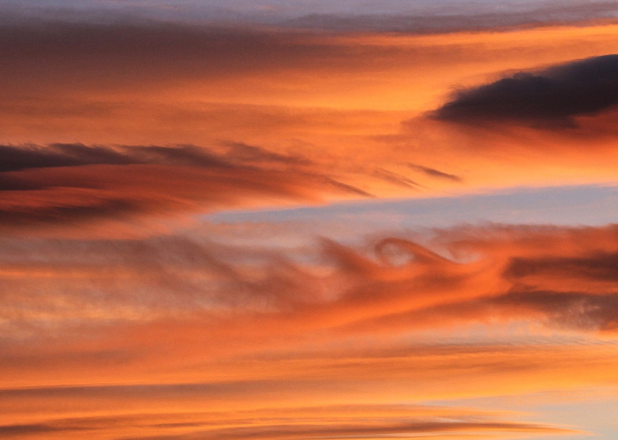 Community photo by Tawnya Silloway | Colorado Springs Colorado