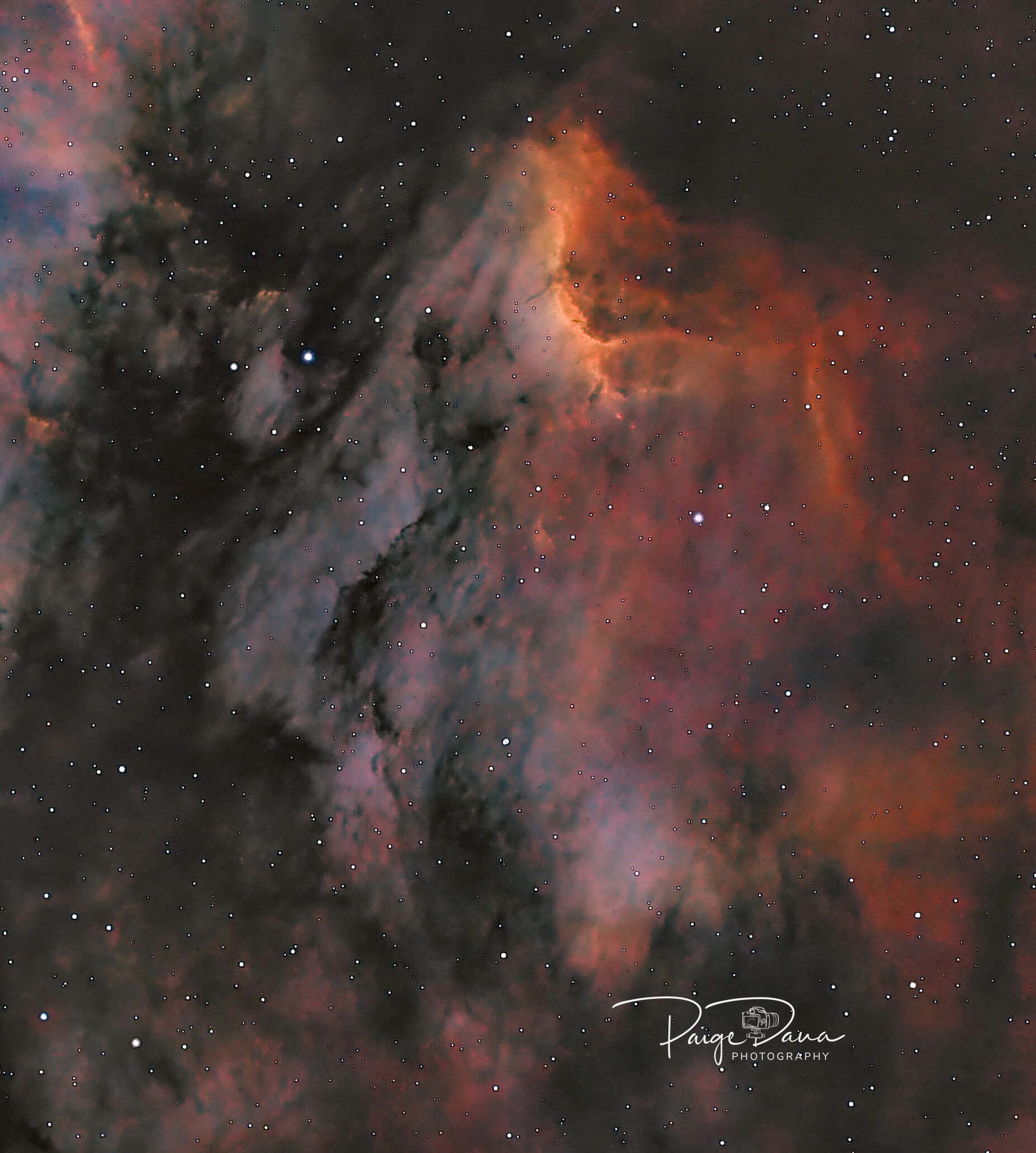 Community photo by Paige