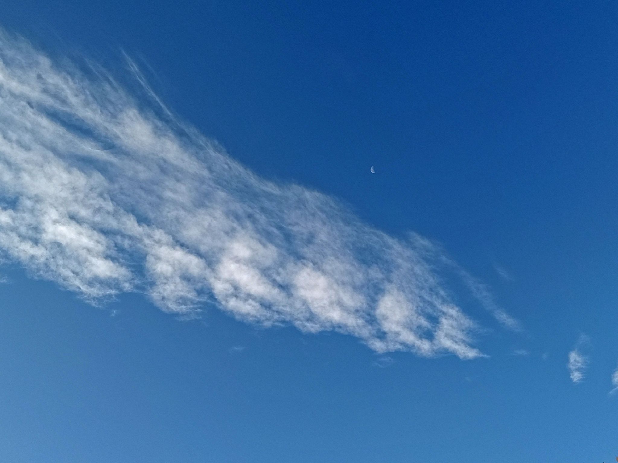Community photo by Hassan Dadashi  Arani | Esfahan. Iran