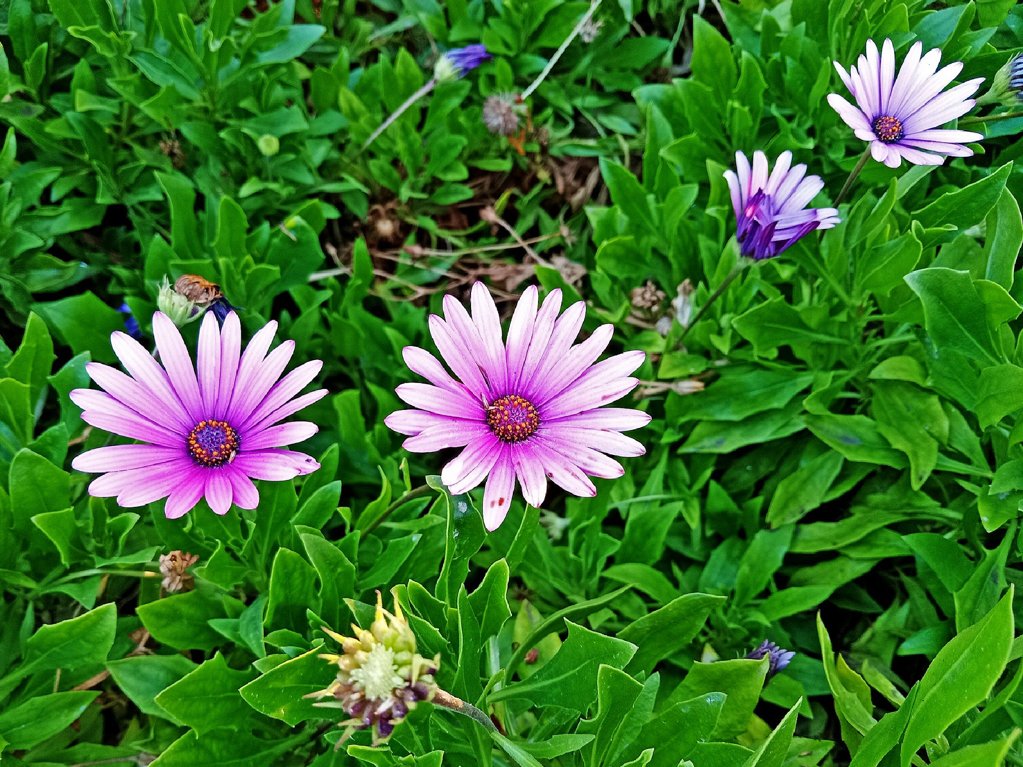 Community photo by Hassan Dadashi  Arani | Esfahan. Iran