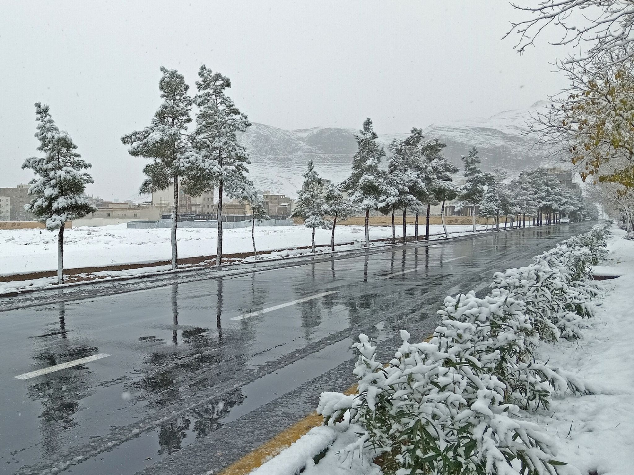 Community photo by Hassan Dadashi Arani | Esfahan province. Iran