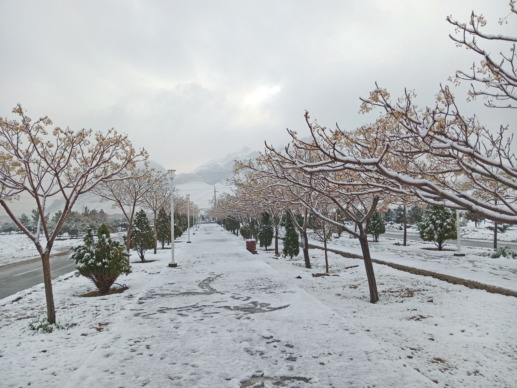 Community photo by Hassan