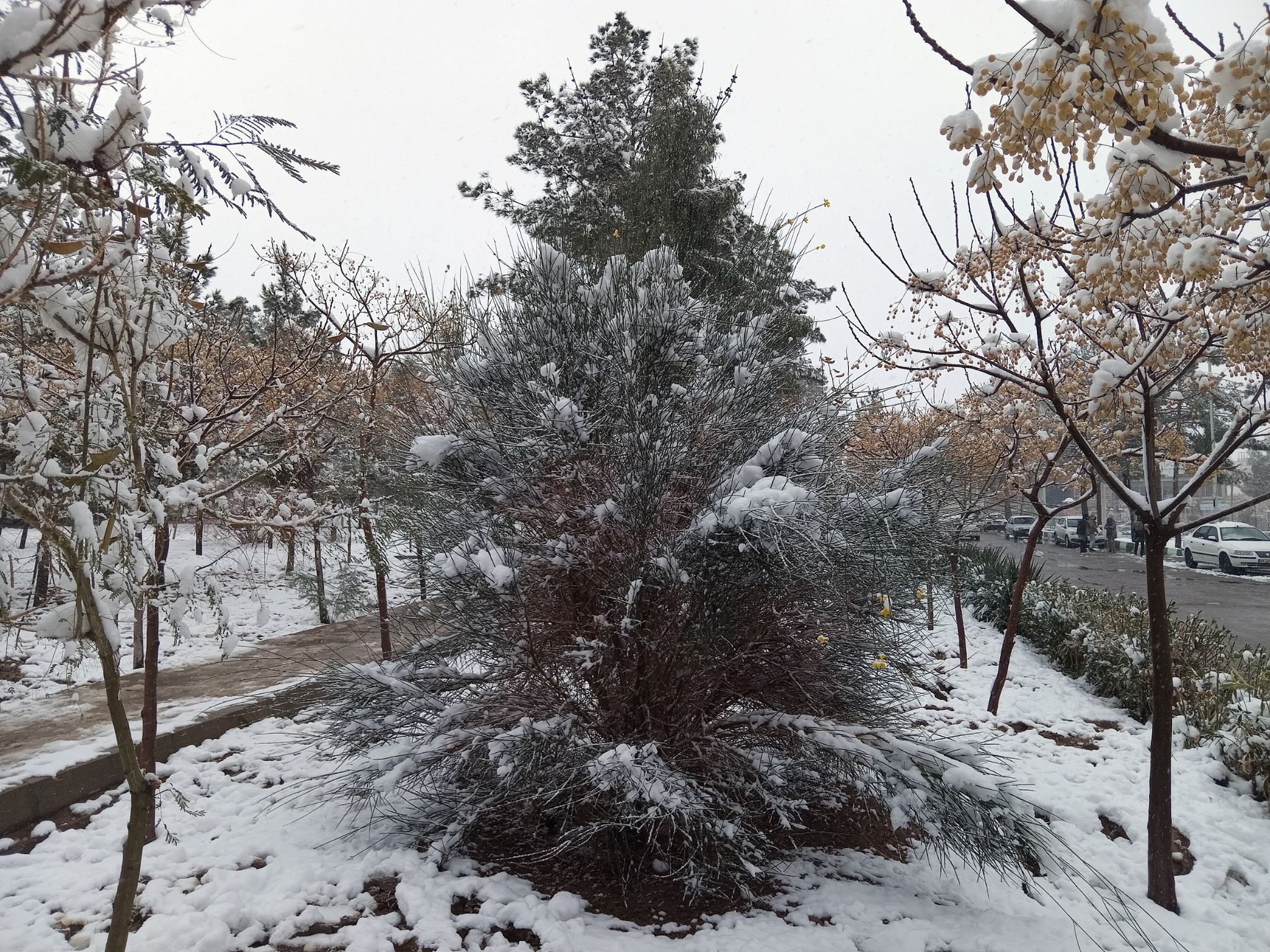 Community photo by Hassan