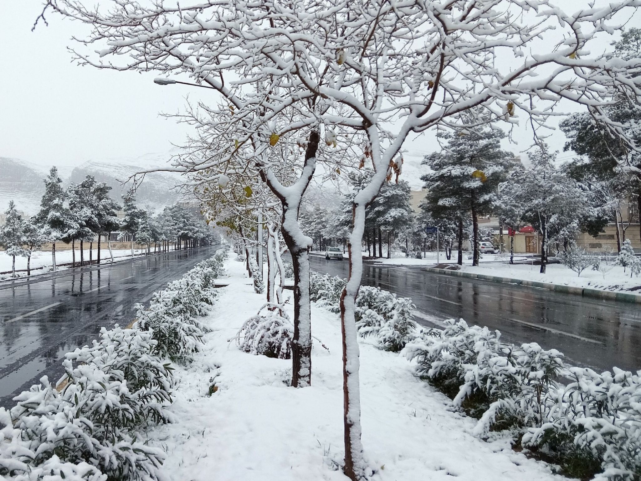 Community photo by Hassan