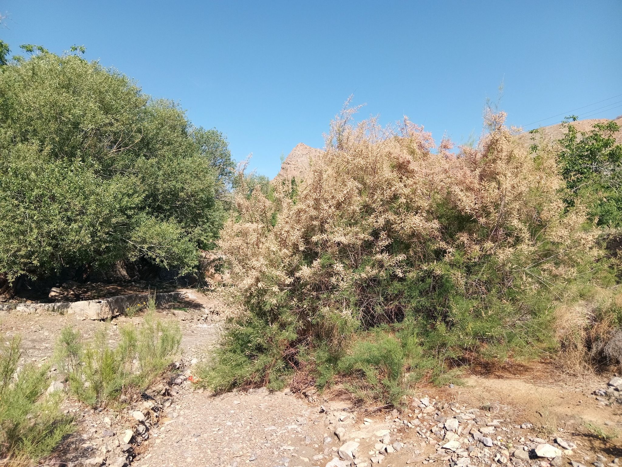 Community photo by Hassan