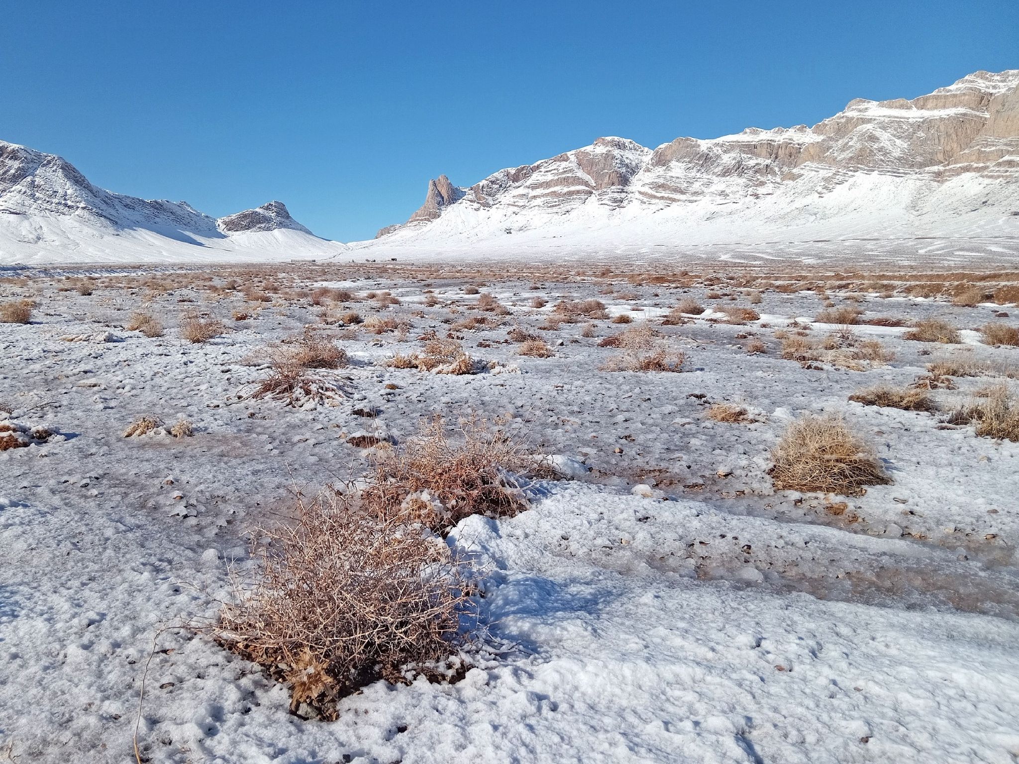 Community photo by Hassan