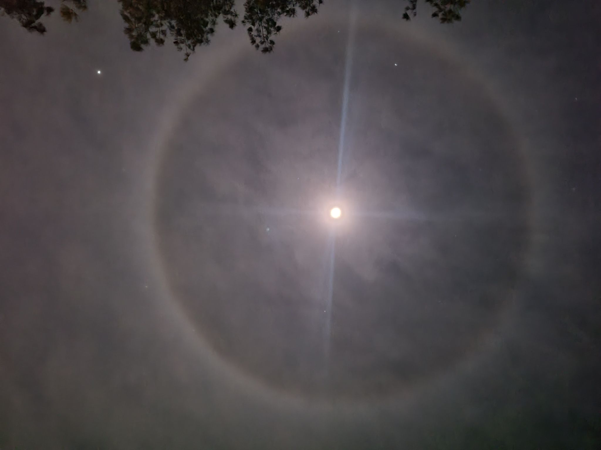 Community photo by wayne