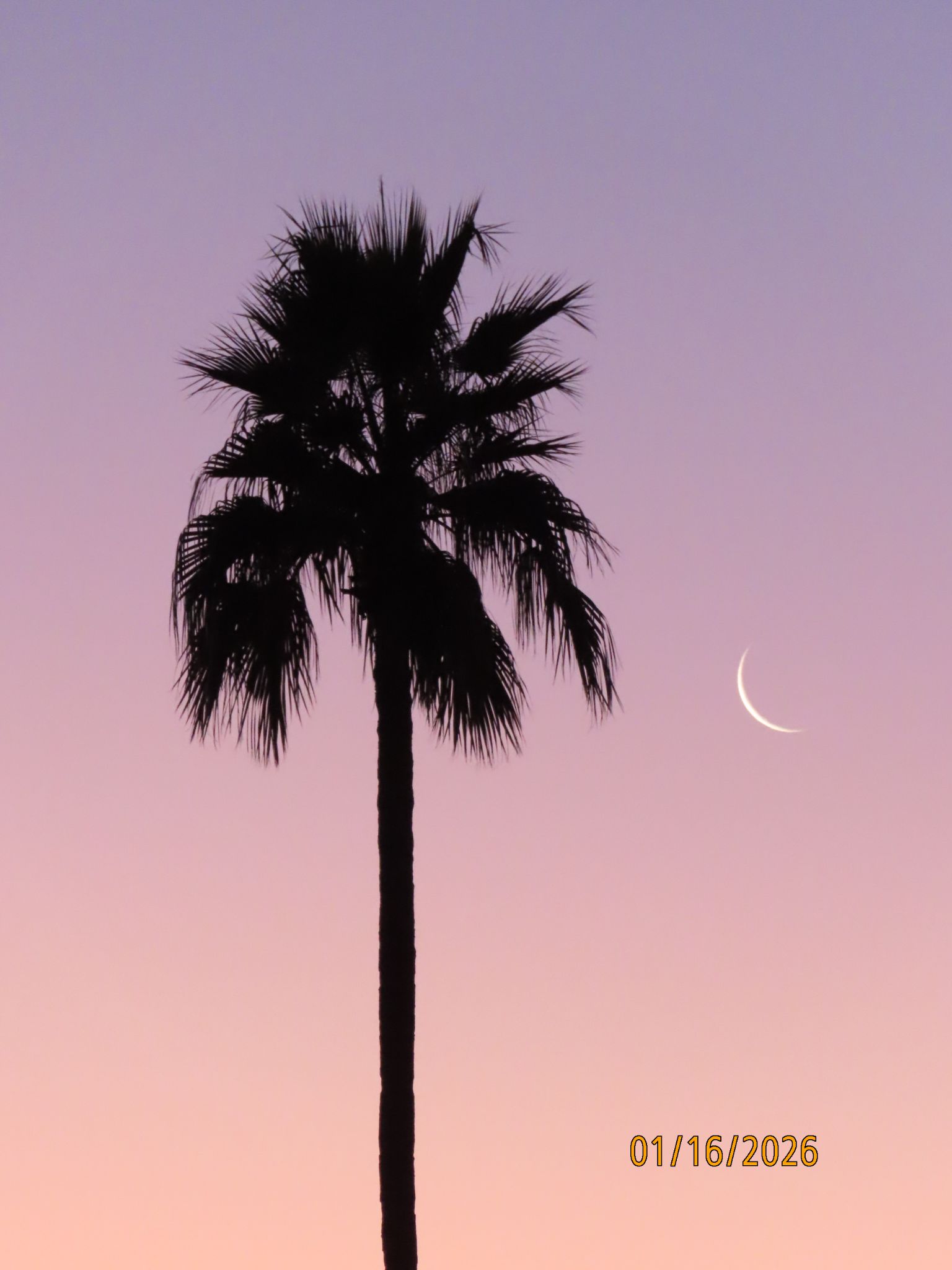 Community photo by Mark Frank | Chandler, AZ