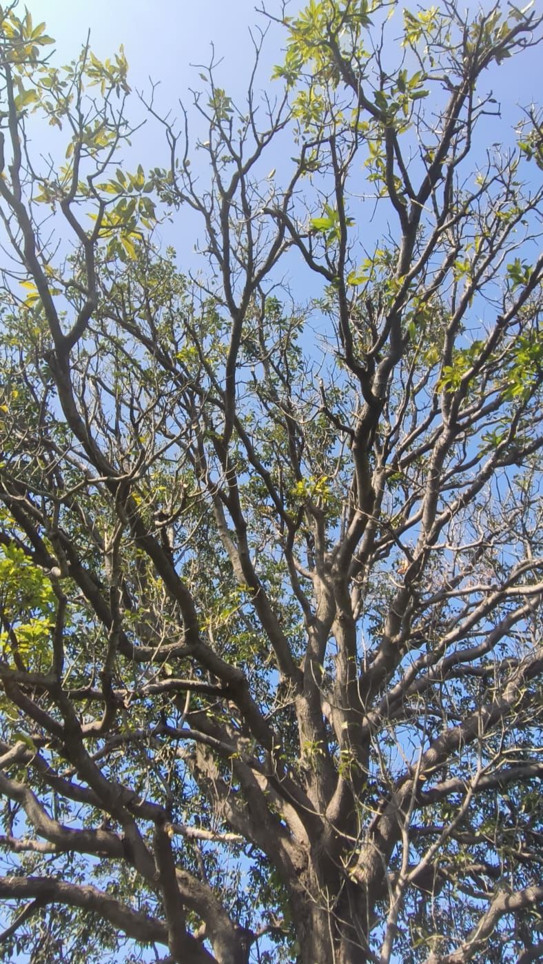 Community photo by Sanidhya