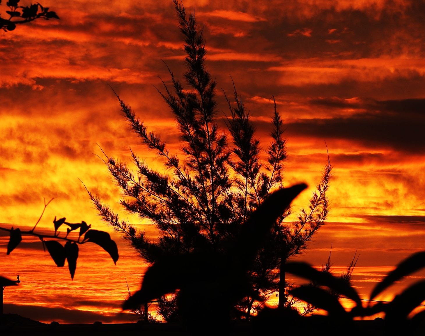 Community photo by Helio