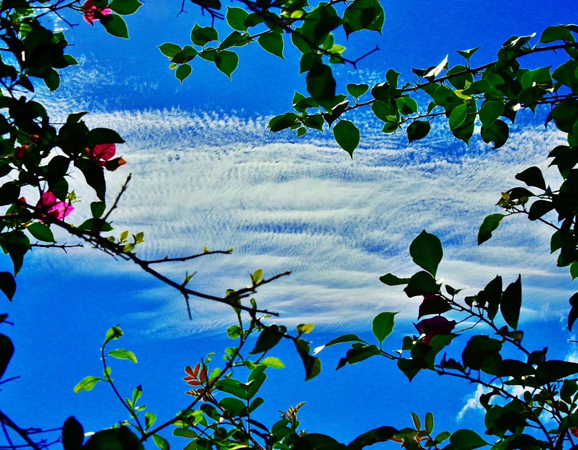 Community photo by Helio de Carvalho Vital | Saquarema, Rio de Janeiro, Brazil
