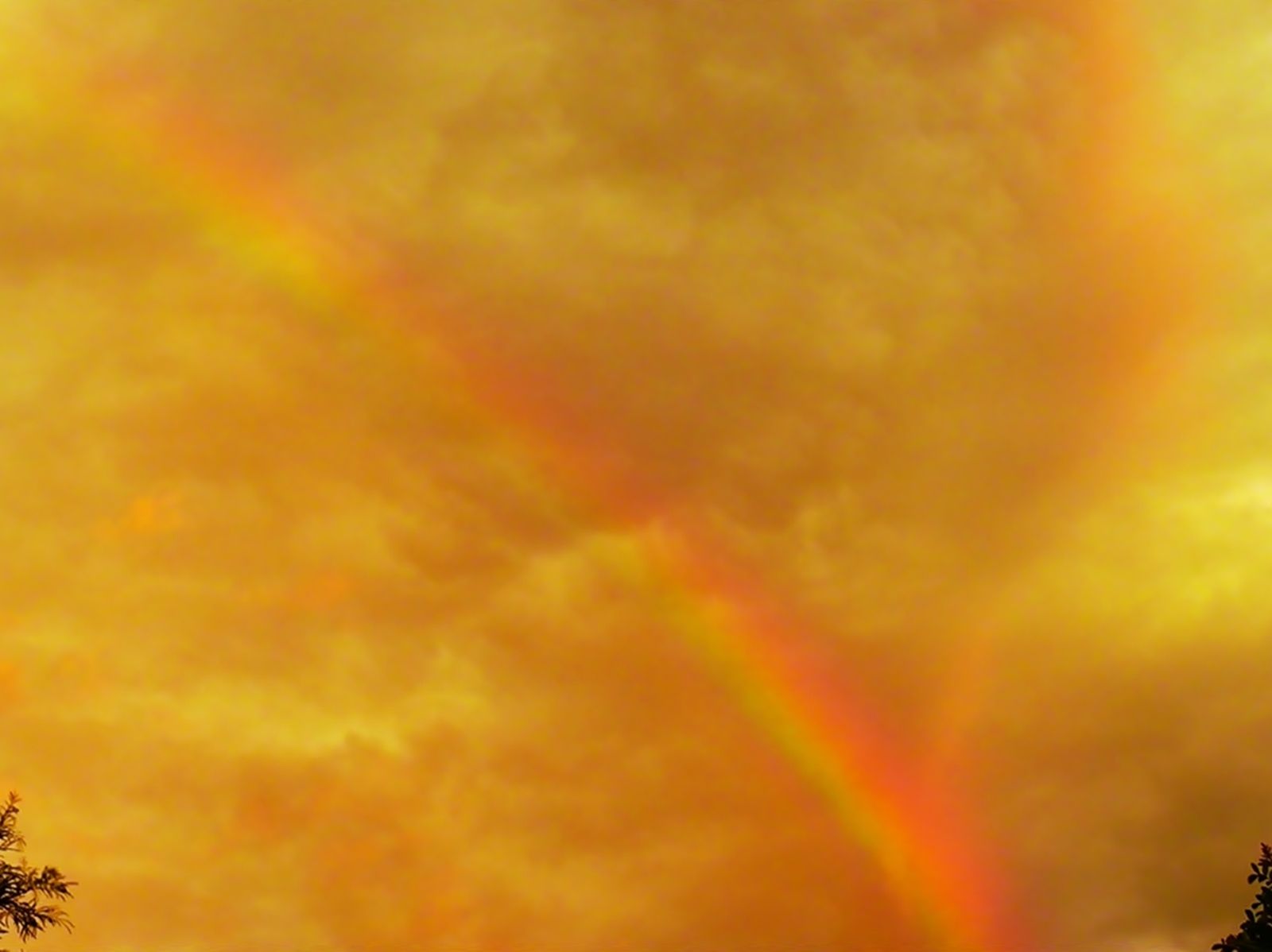 Community photo by Helio de Carvalho Vital | Saquarema, Rio de Janeiro, Brazil