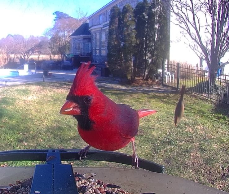 Community photo by Mark