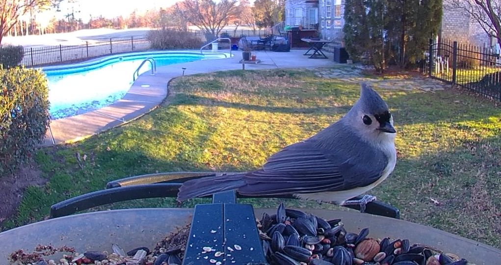 Community photo by Mark Wralstad | Virginia Beach, VA, USA