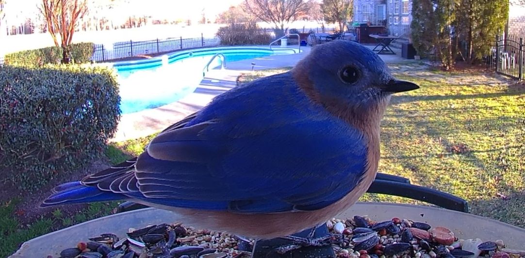 Community photo by Mark