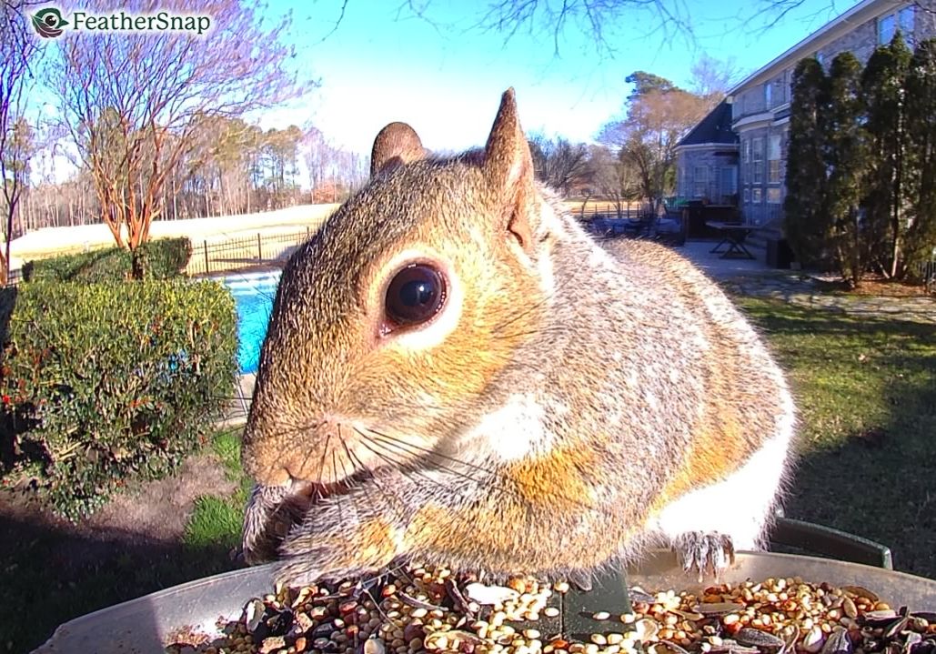 Community photo by Mark