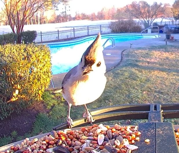 Community photo by Mark