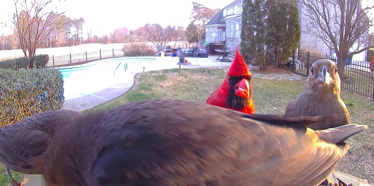 Community photo by Mark