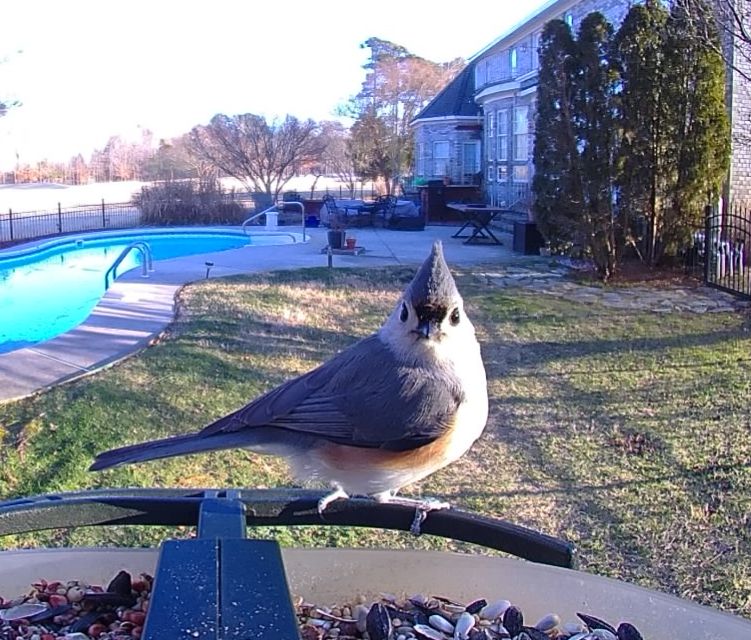 Community photo by Mark Wralstad | Virginia Beach, VA, USA