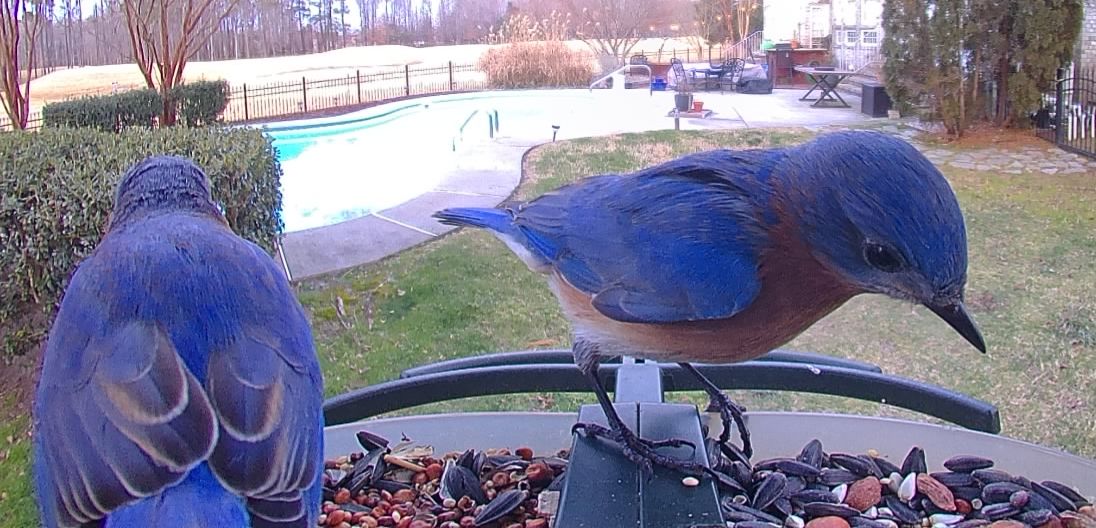 Community photo by Mark