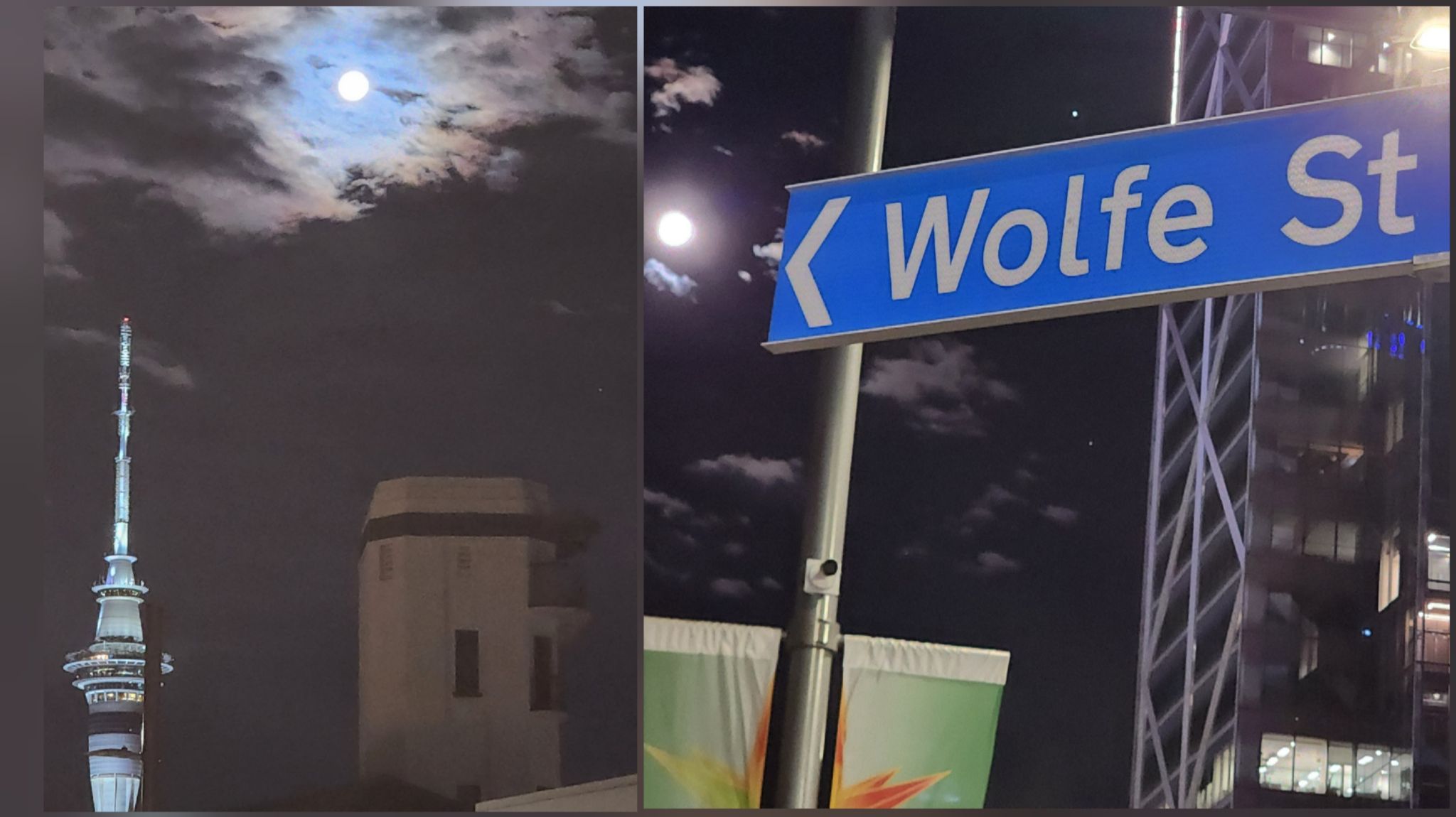 Community photo by Alexander Krivenyshev | Auckland,  New Zealand