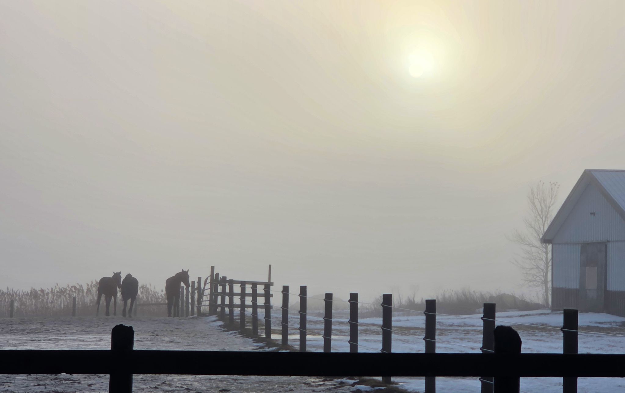 Community photo by Lorraine