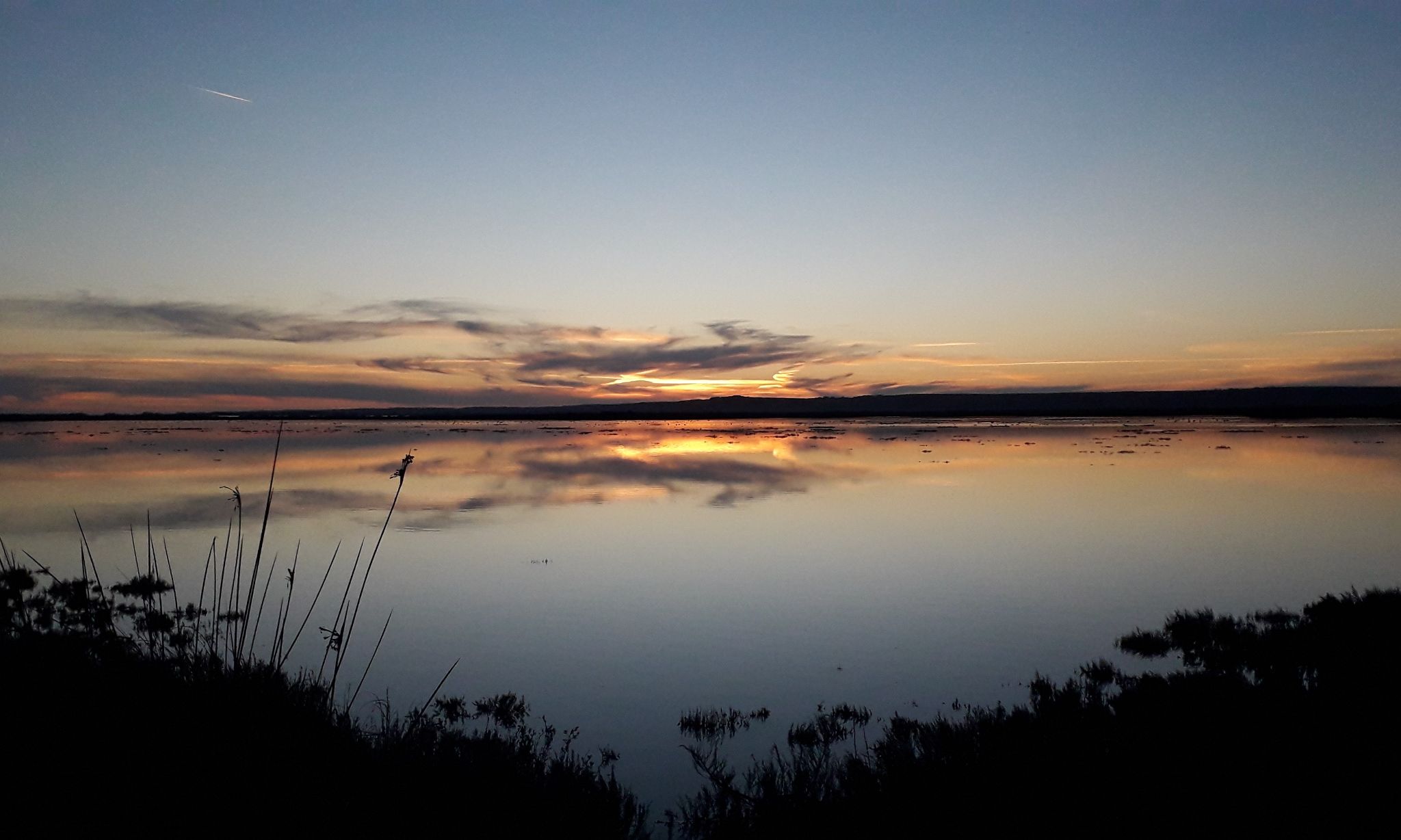 Community photo by Roberto Ortu | Cabras, Sardinia, Italy