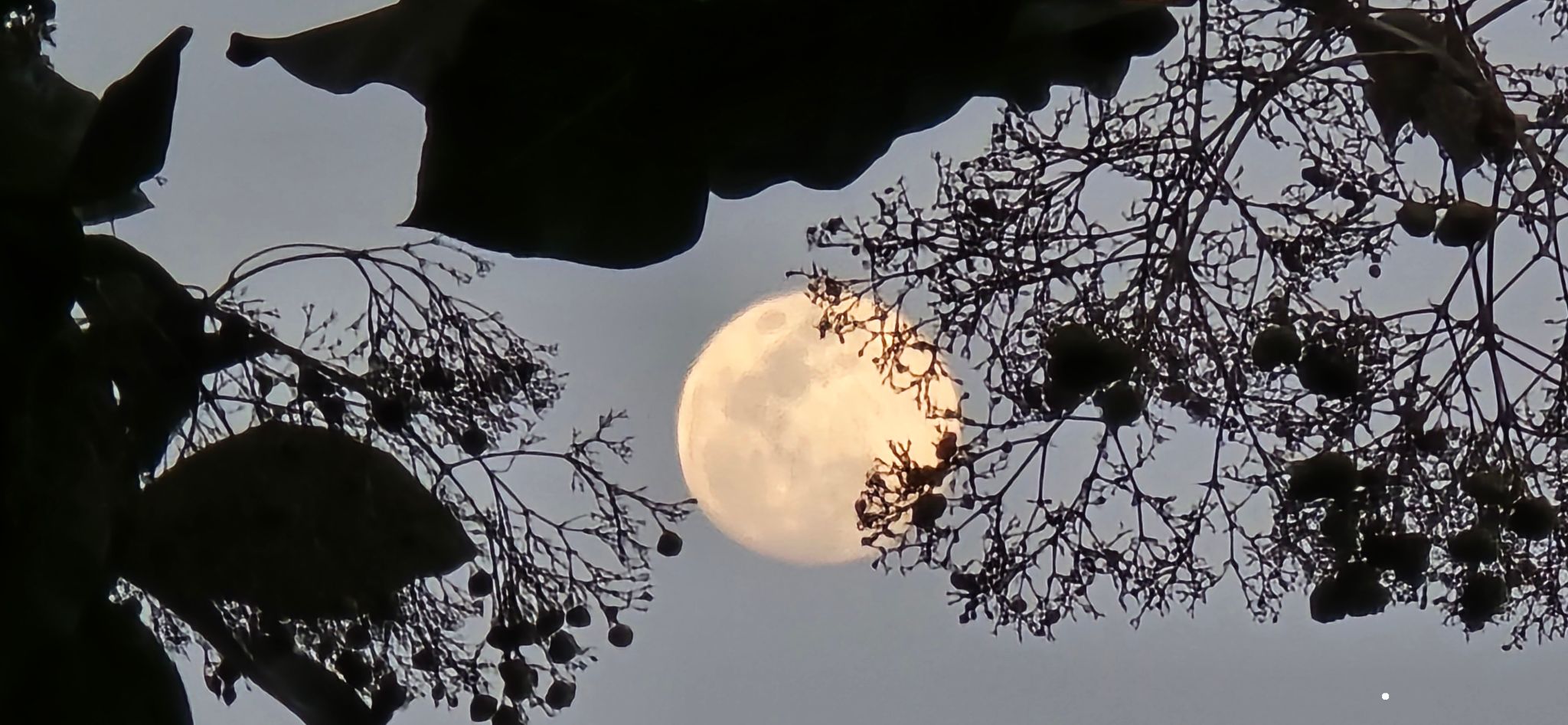 Community photo by Vijaya koteswar rao