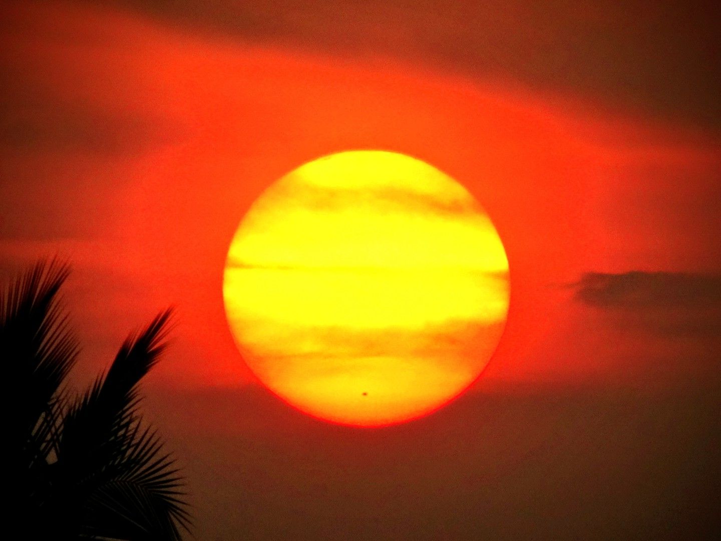 Community photo by Arvind Sengottuvelu | Salem, Tamil Nadu, India