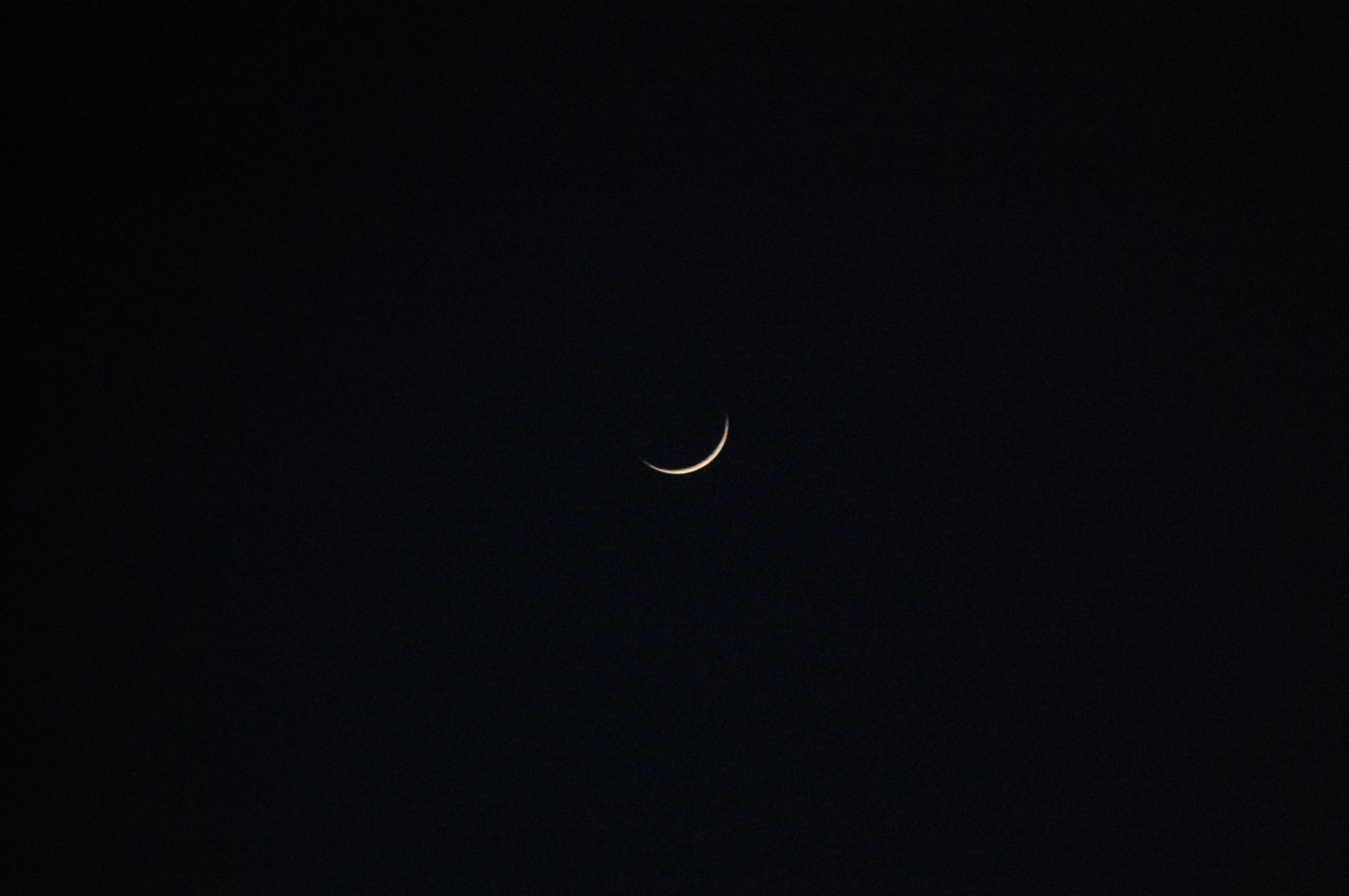 Community photo by Karen Rzonca | East Northport NY