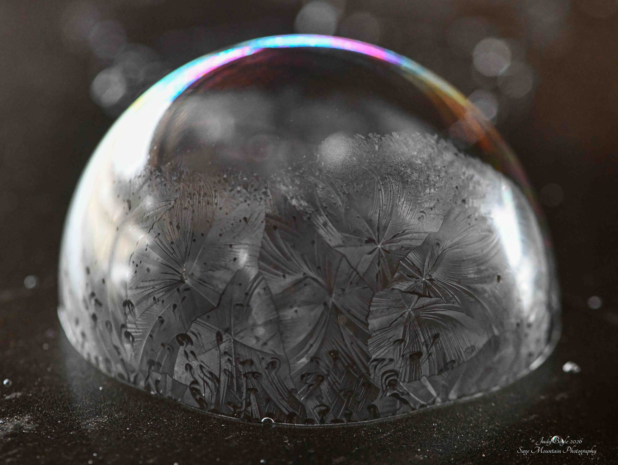 Community photo by Judy Boyle | Whitehall, MT USA