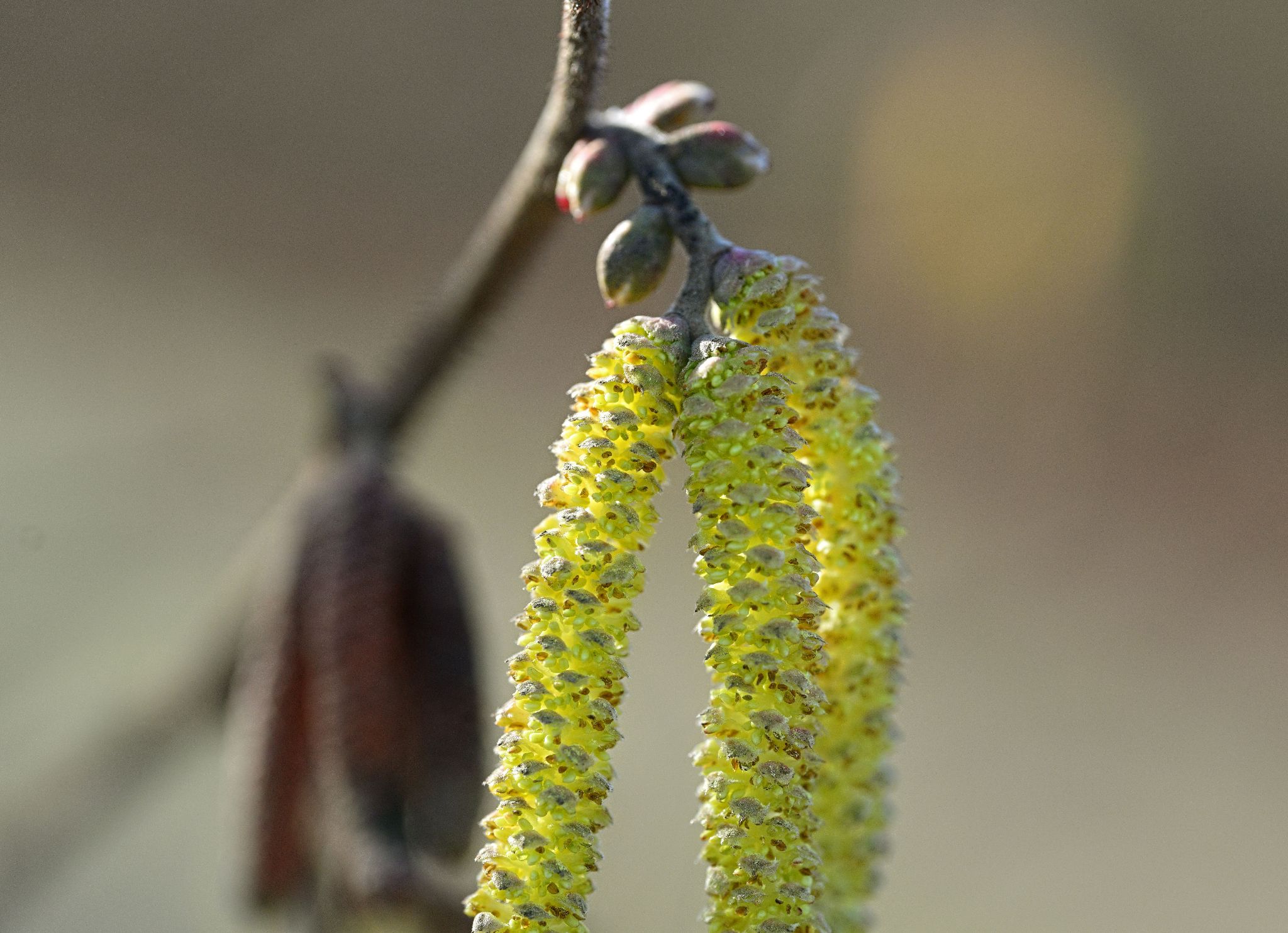 Community photo by Cecille