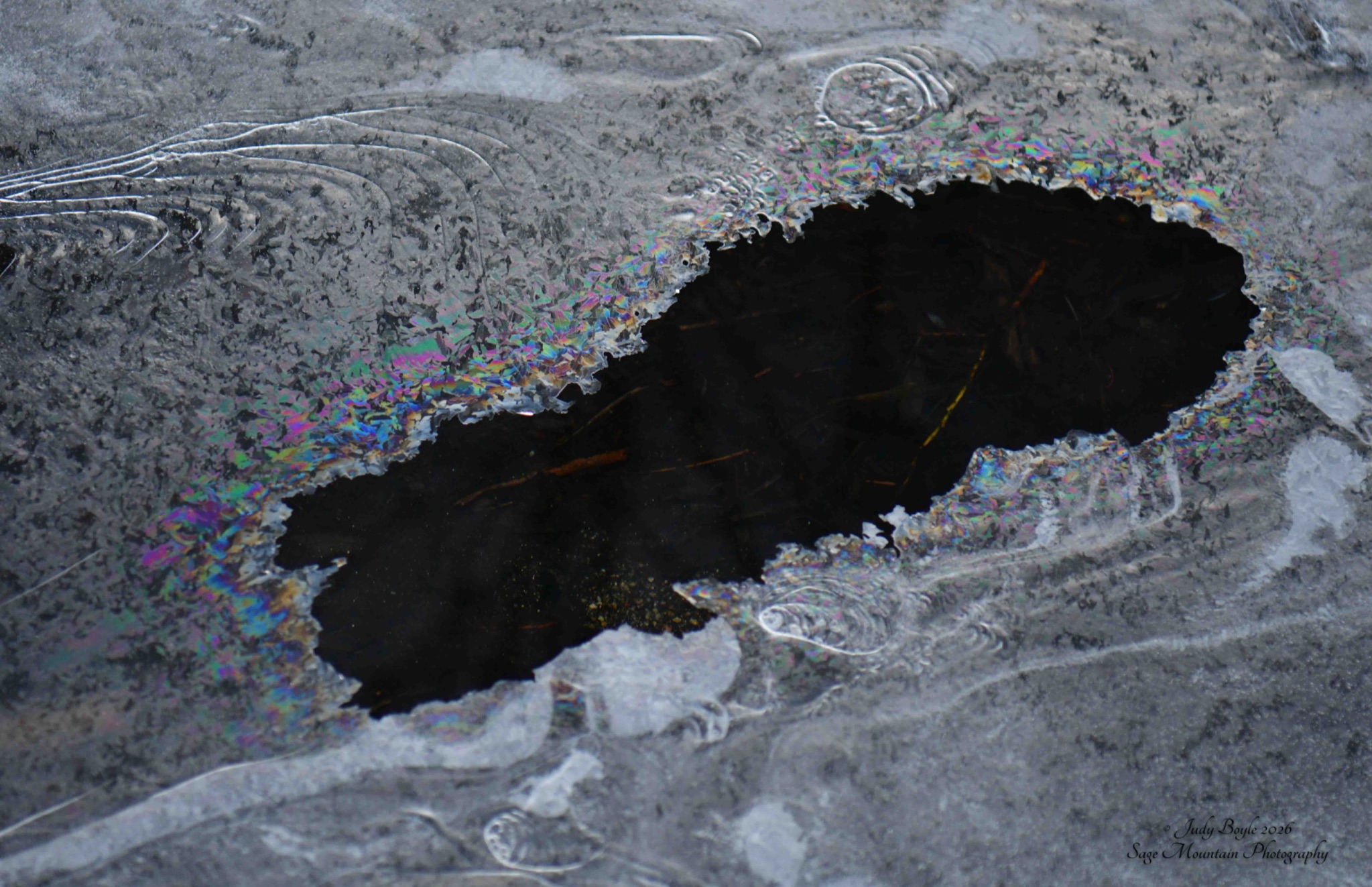 Community photo by Judy