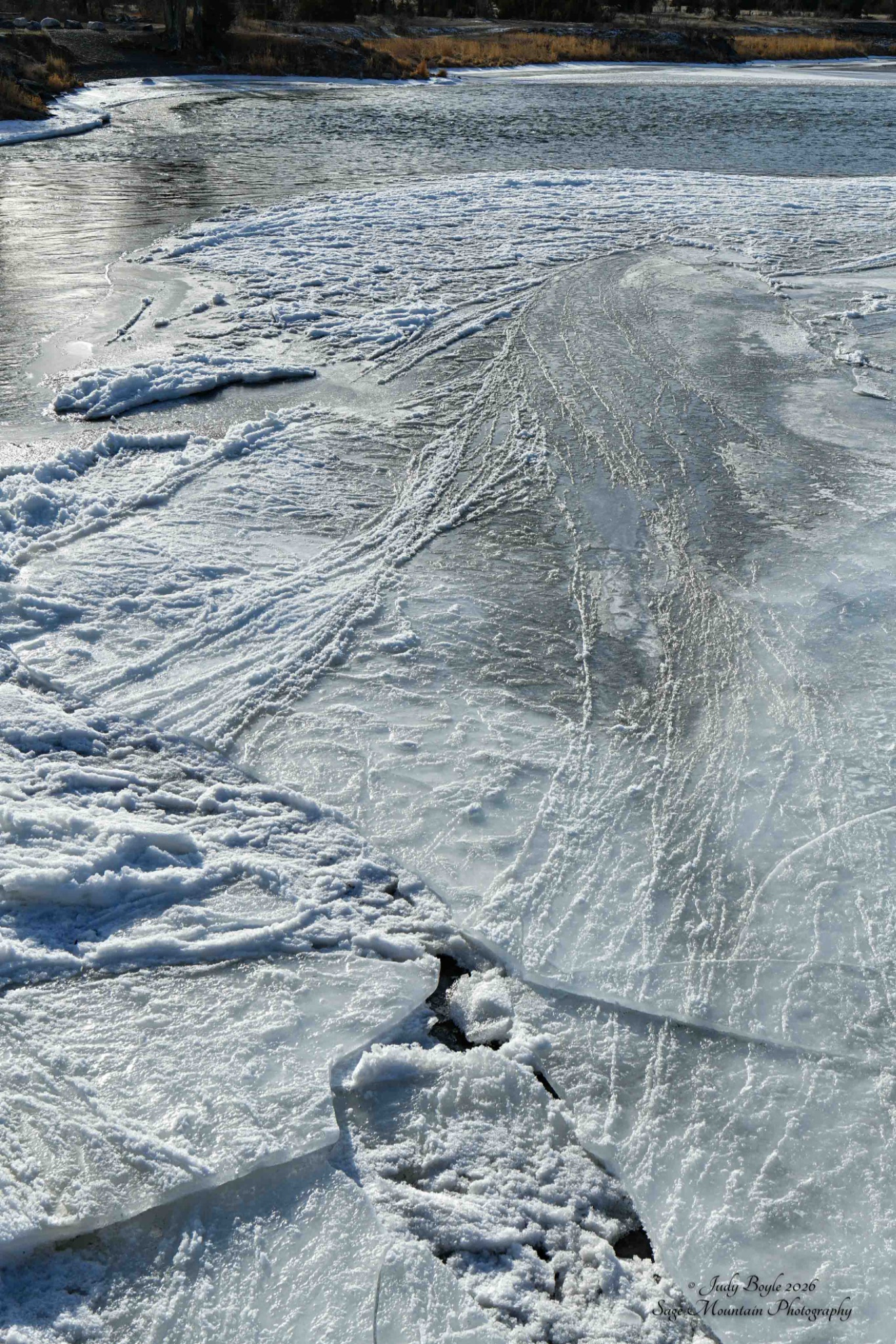 Community photo by Judy