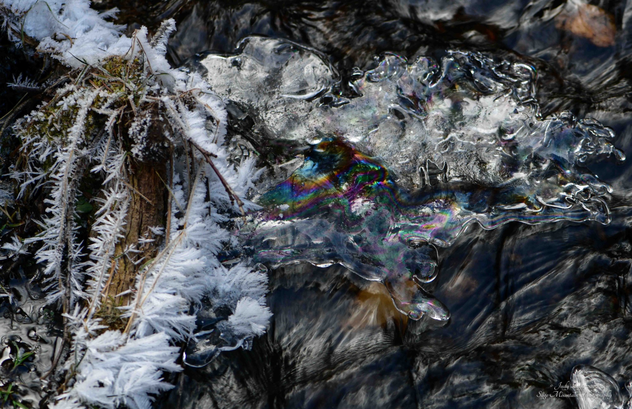 Community photo by Judy Boyle | Whitehall, MT USA