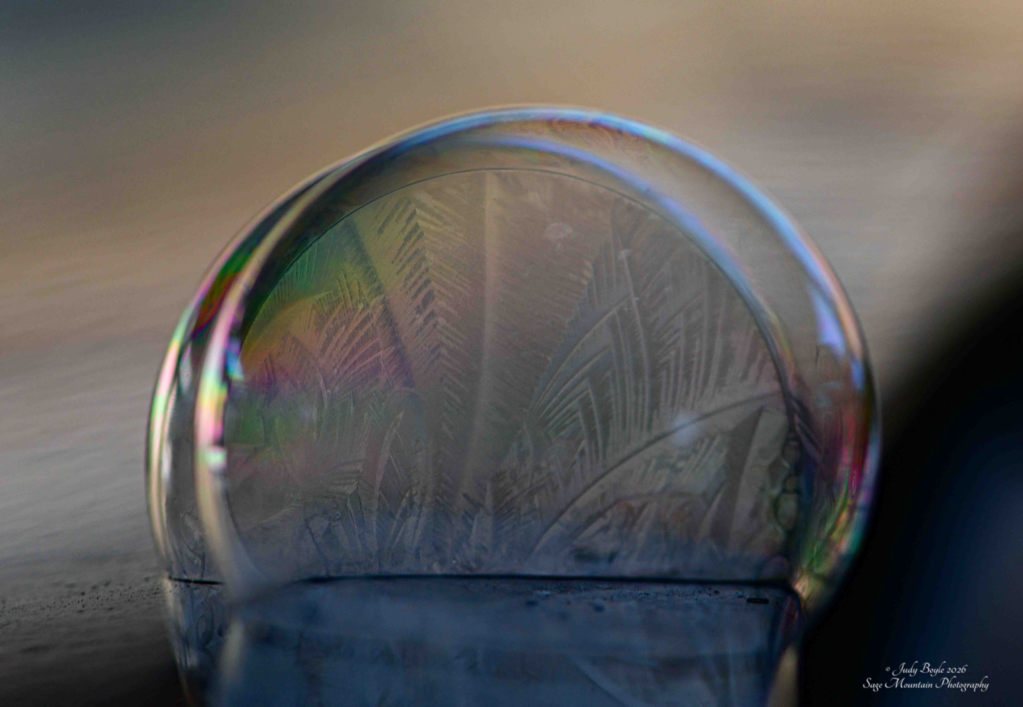 Community photo by Judy Boyle | Whitehall, Montana USA