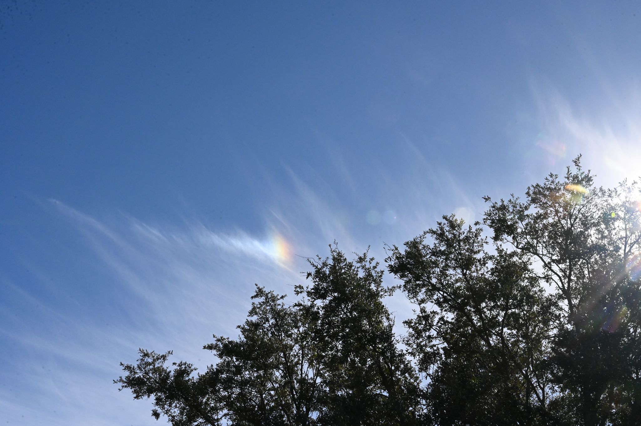 Community photo by Frank Lu | Arlington, Texas, USA