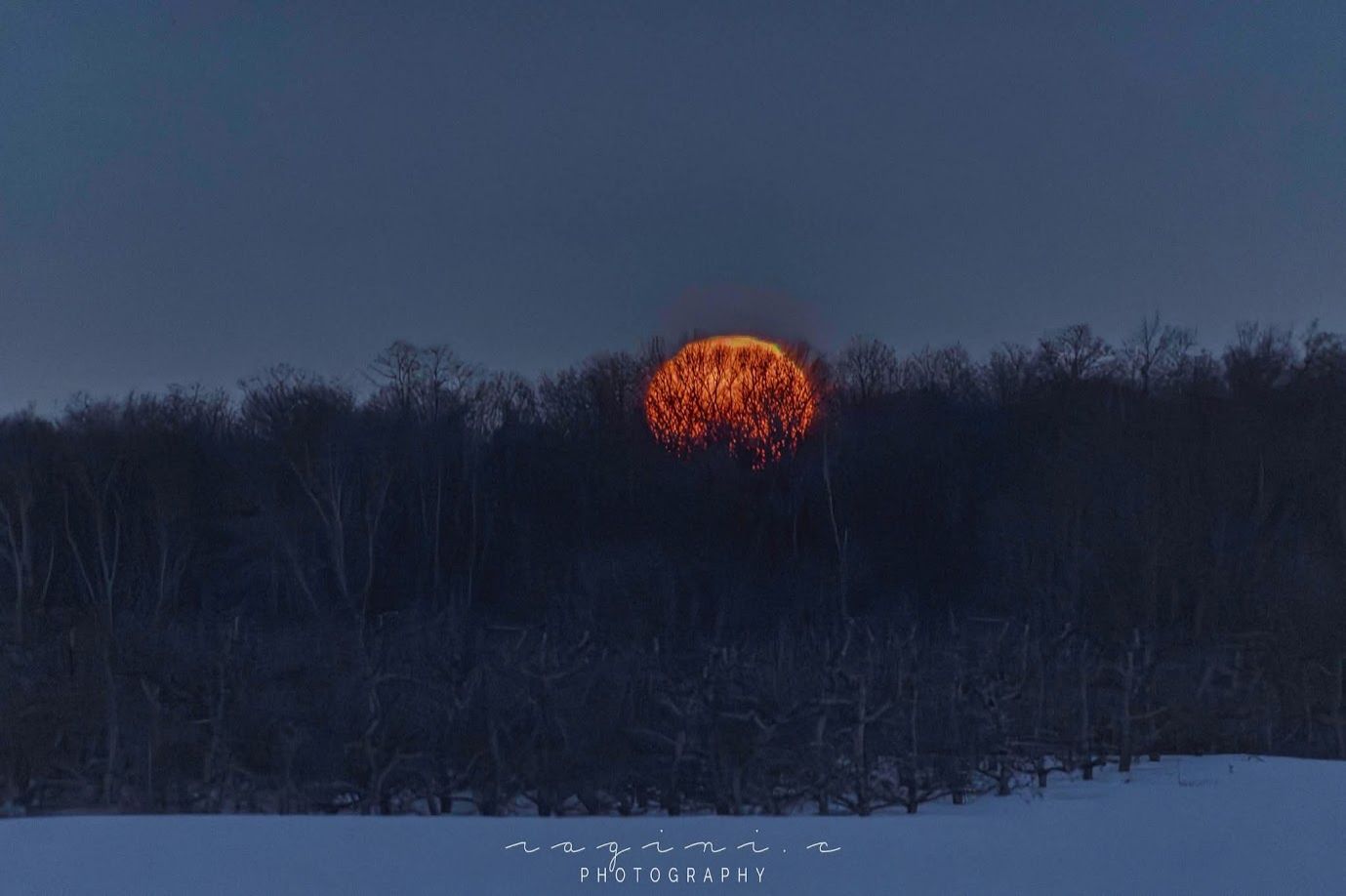 Community photo by Ragini Chaturvedi | NJ, USA