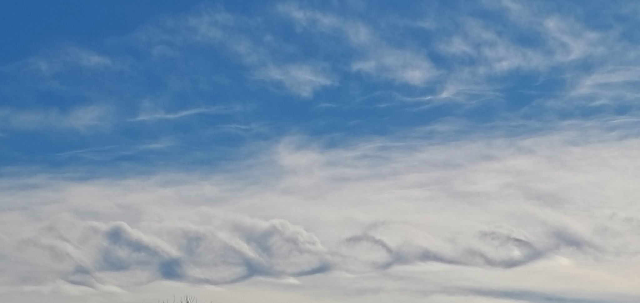 Community photo by David