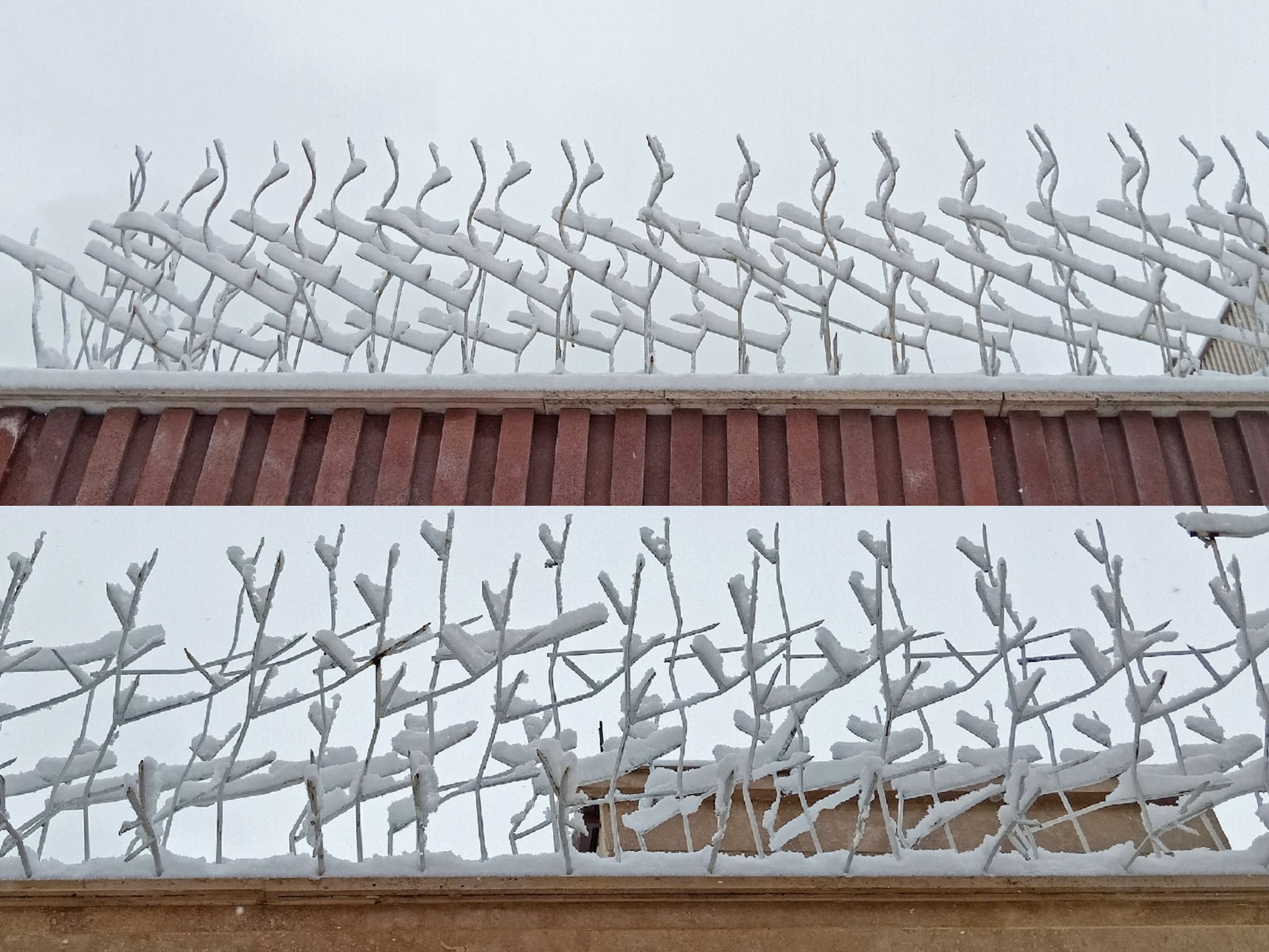 Community photo by Hassan